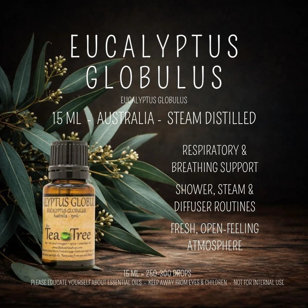 Eucalyptus Globulus - Australia 15 mL