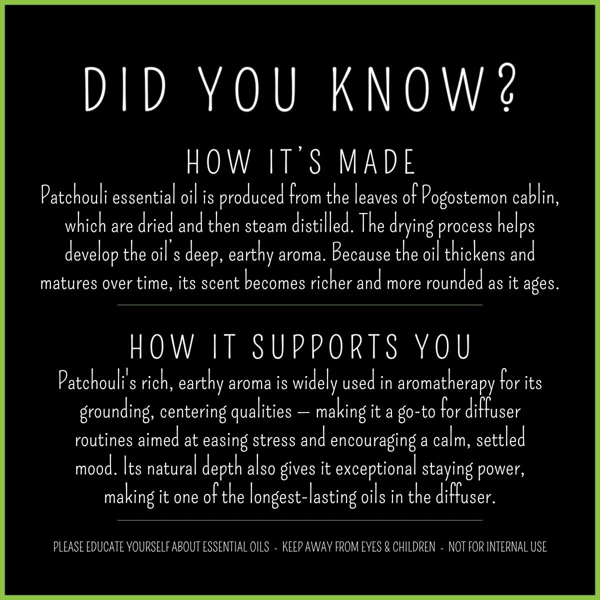 How Patchouli essential oil is made