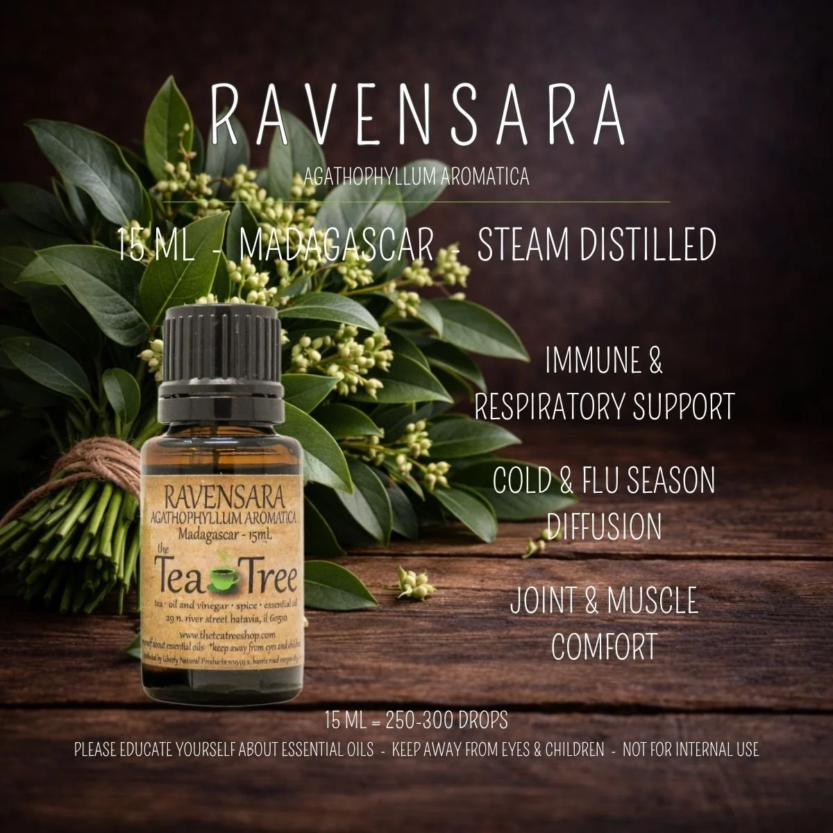 Ravensara - Madagascar 15 mL