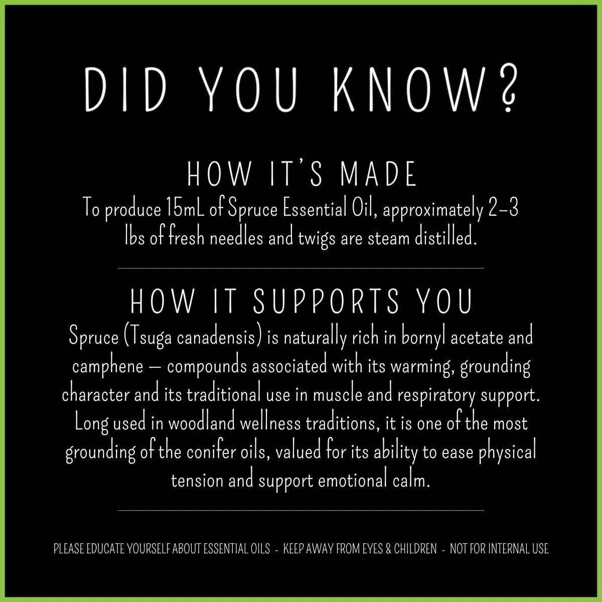 spruce-essential-oil-how-its-made-steam-distilled.jpg