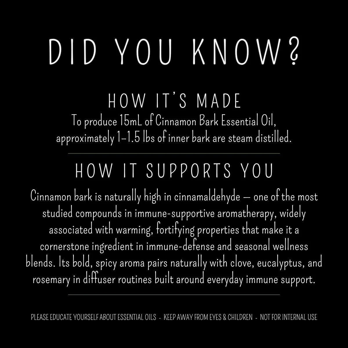 How Cinnamon Bark Sri Lanka essential oil is made