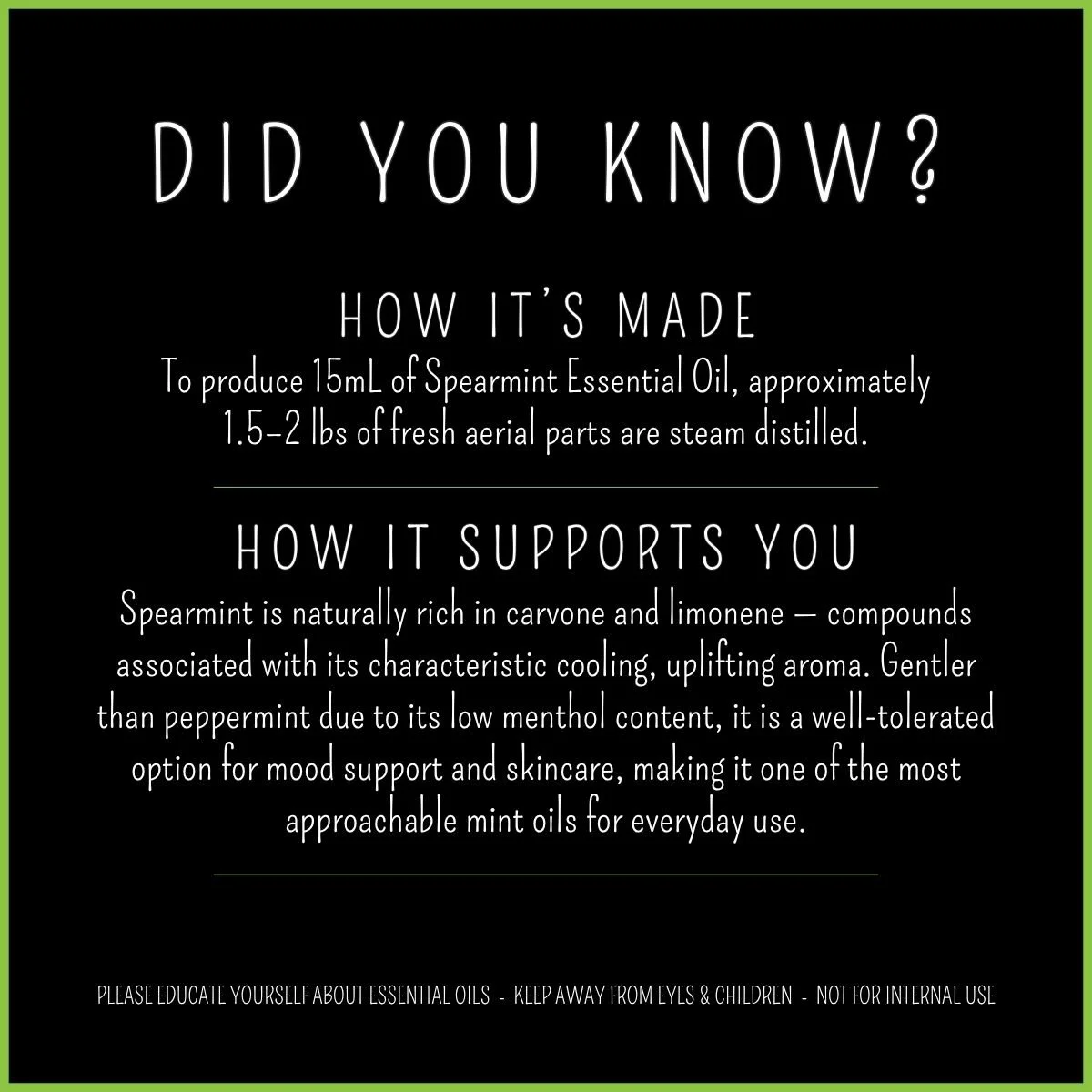 How Spearmint essential oil is made