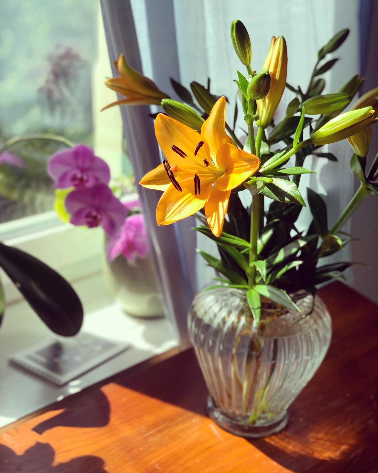 #lily #sunshinehitme #sunday #flowers #angelsfragrance ππ§‘π