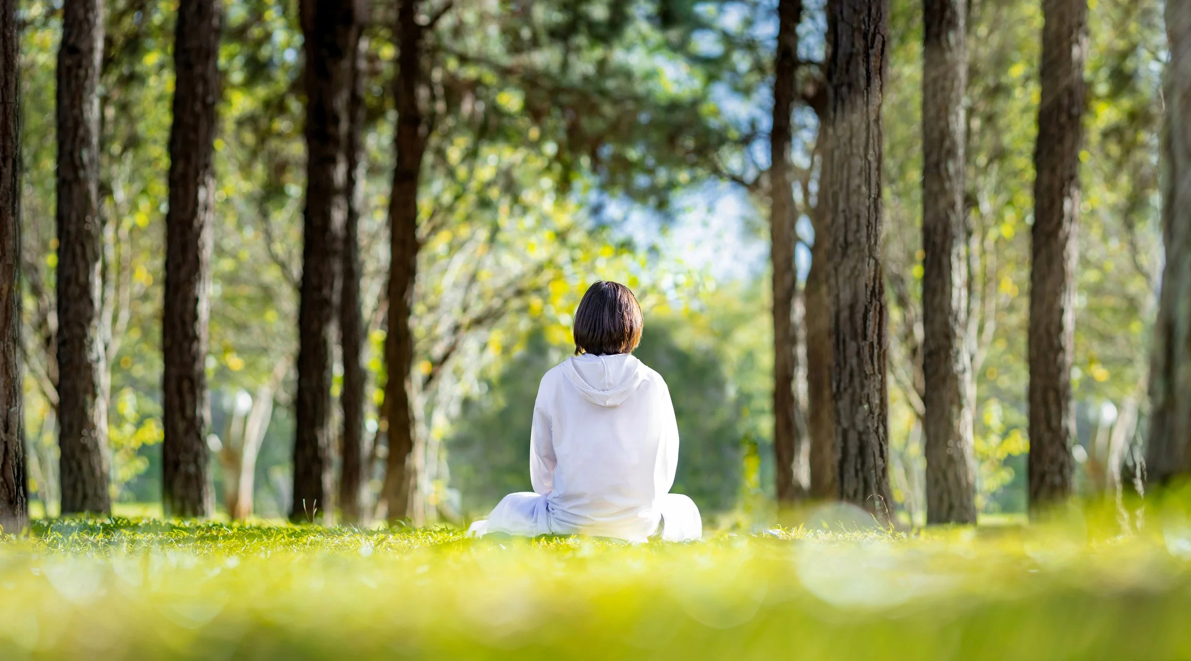 Be Love Healing School training healers in channeling, spiritual and metaphysical healing with Dr. Matt Turner at Be Love Healings.