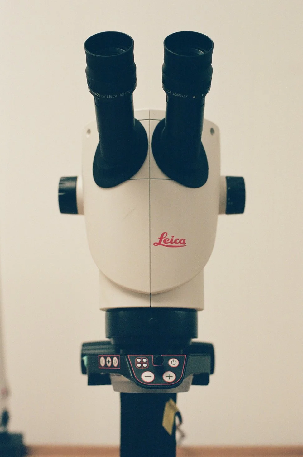 000092540017(crop).jpg