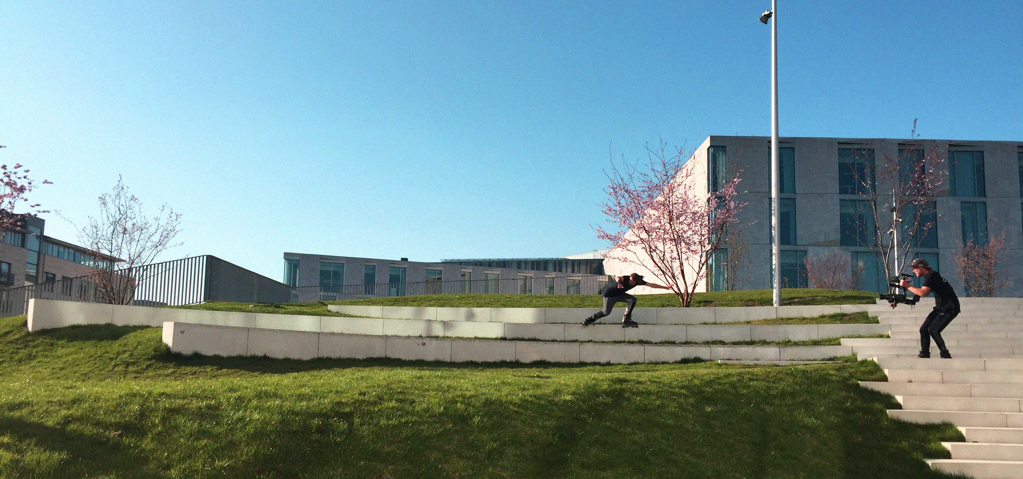 Super Rare True Mizue - Photo Courtesy of Jonas Hannson