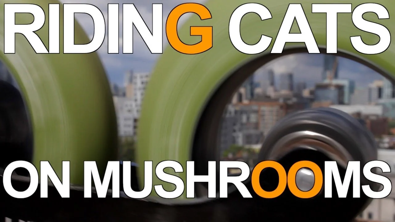 Riding Cats on Mushrooms with Bill Stoppard