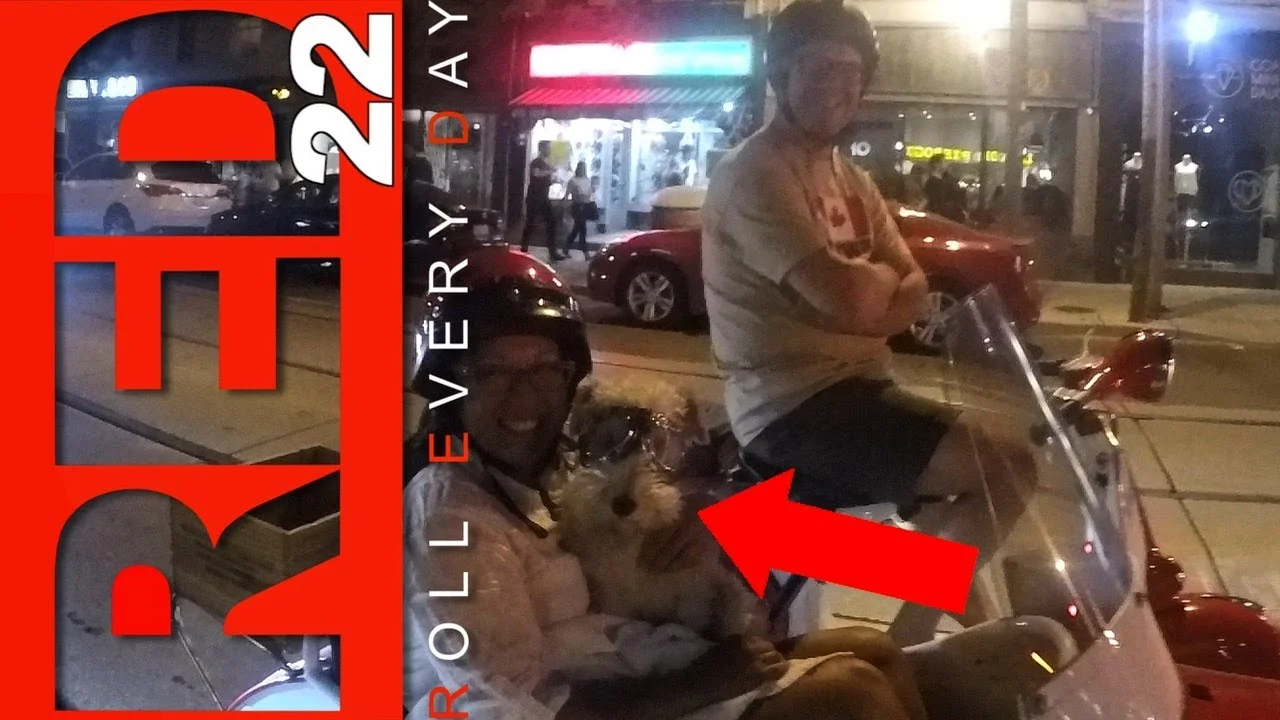 RED July #22 = Bill Stoppard | I Drag Raced This Dog