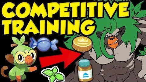 The Ultimate Competitive Pokemon Training Guide!