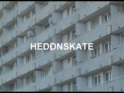Hedonskate Presents Adam Wrzal's Tape Collection