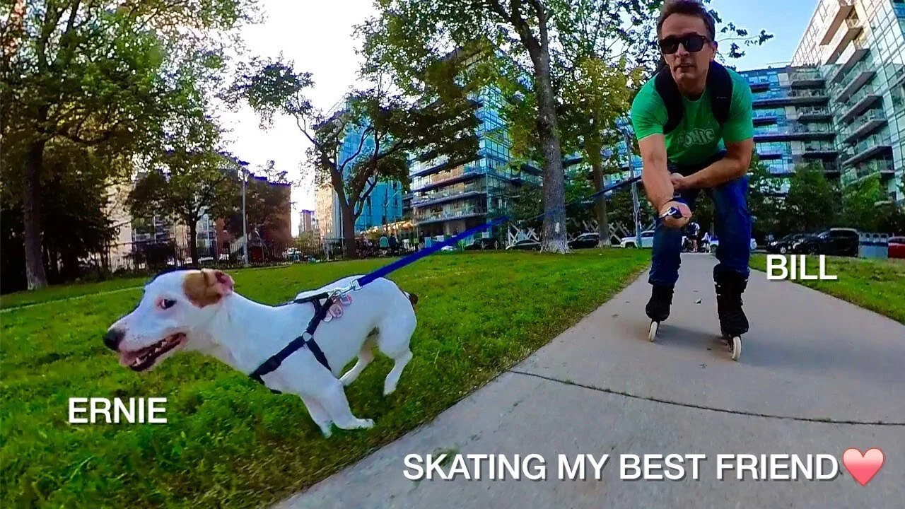 The Happiest a Dog &amp; Skater Can Be with Bill Stoppard