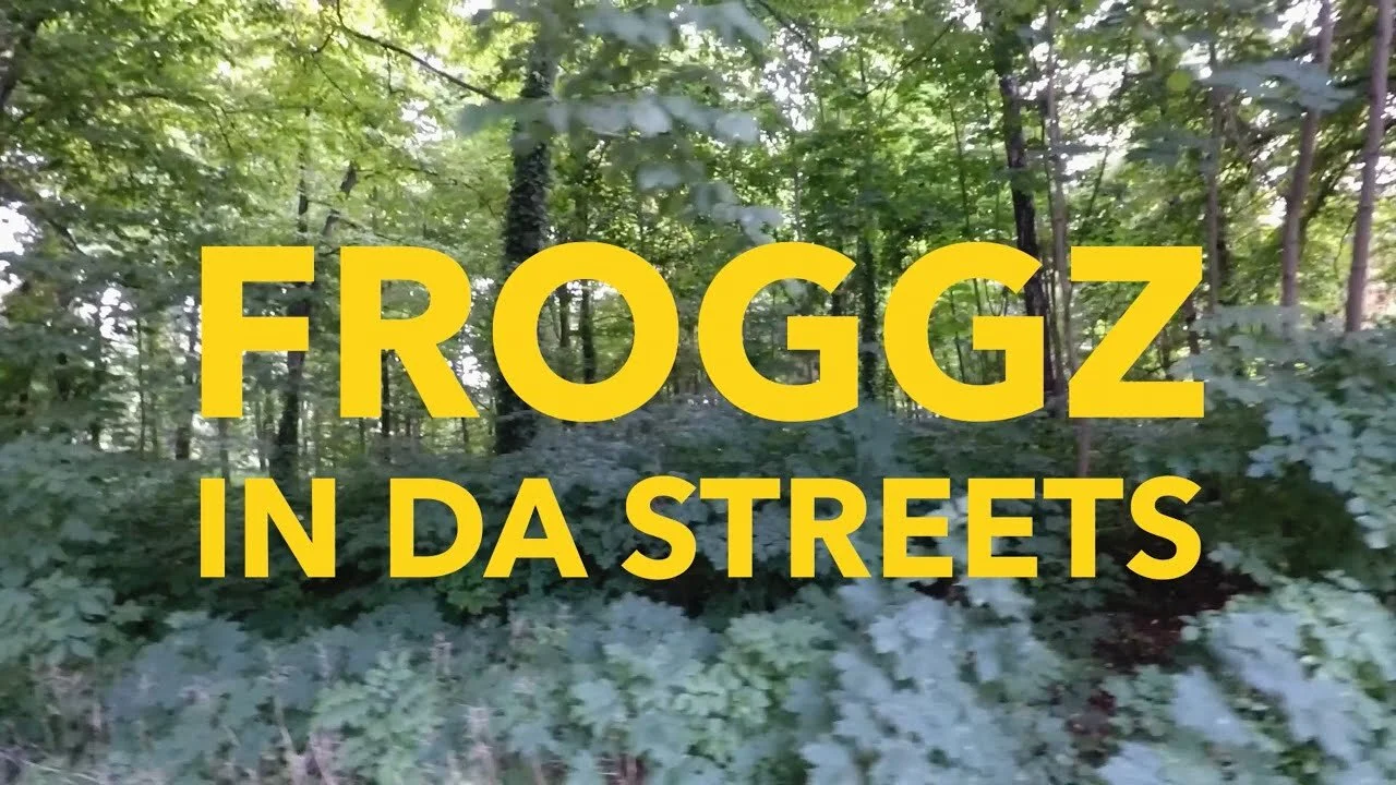 FROGGZ IN DA STREETS