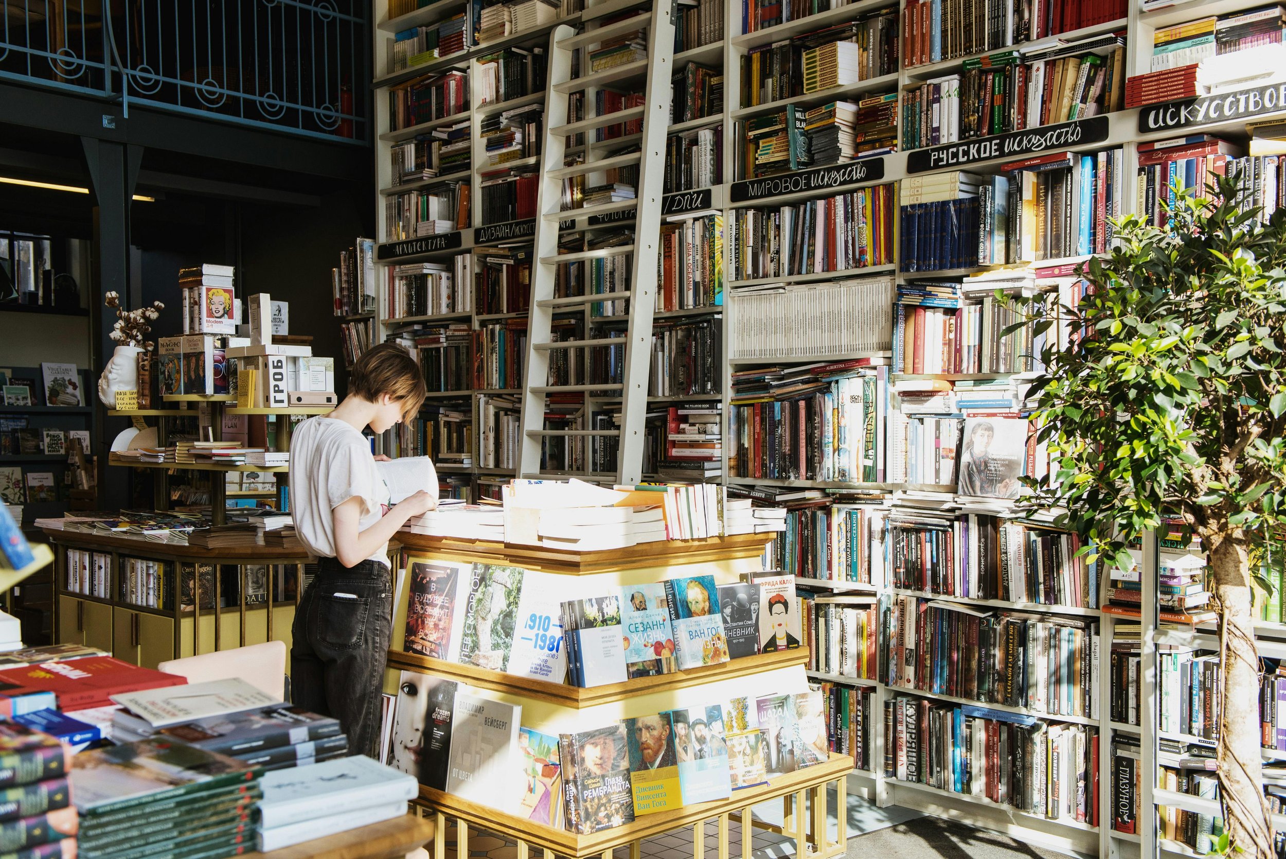 Traditional Publishing vs. Self-Publishing: What Every Author Needs to Know