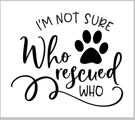 I'm not sure who rescued who.png