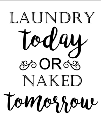 Laundry today or naked tomorrow.png