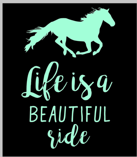 Life is a Beautiful Ride.png