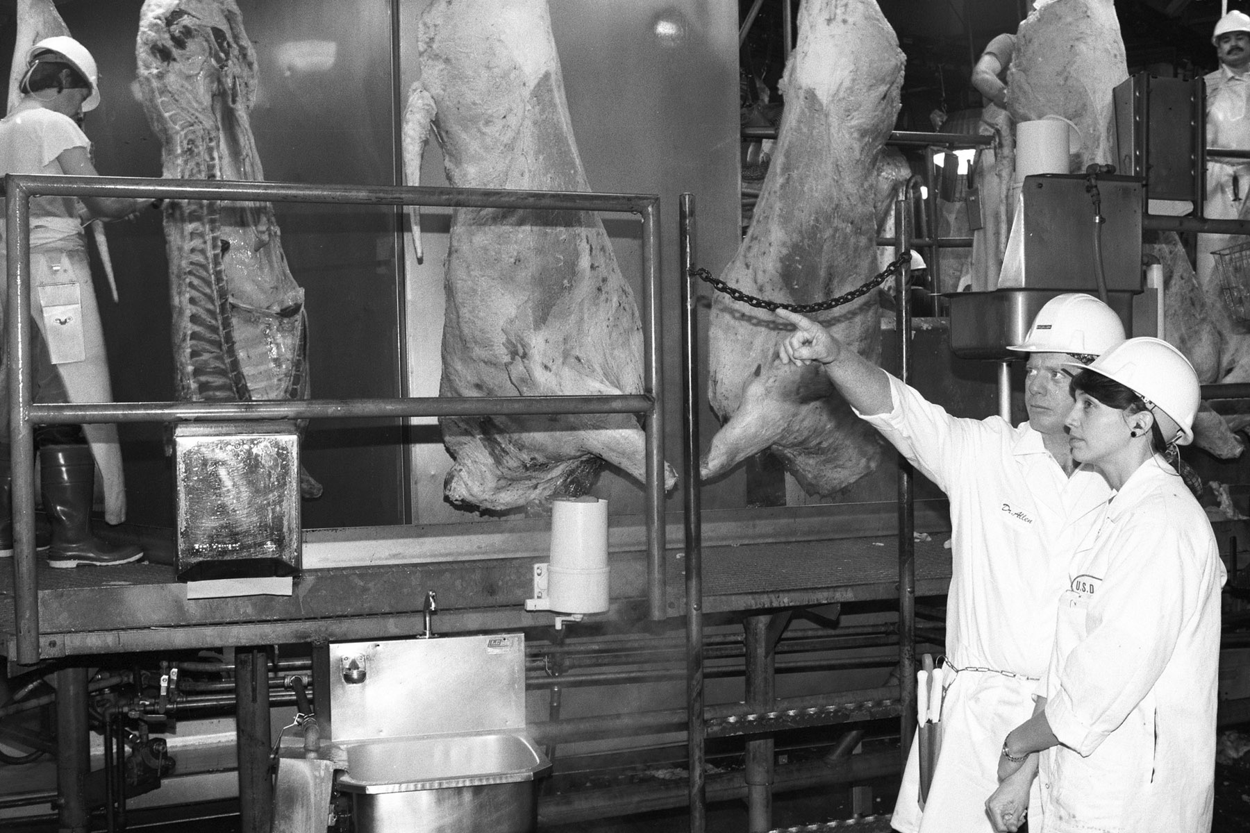 USDA inspectors inspect beef at a facility in Plainview, Texas. Credit: Lester Shepherd / USDA