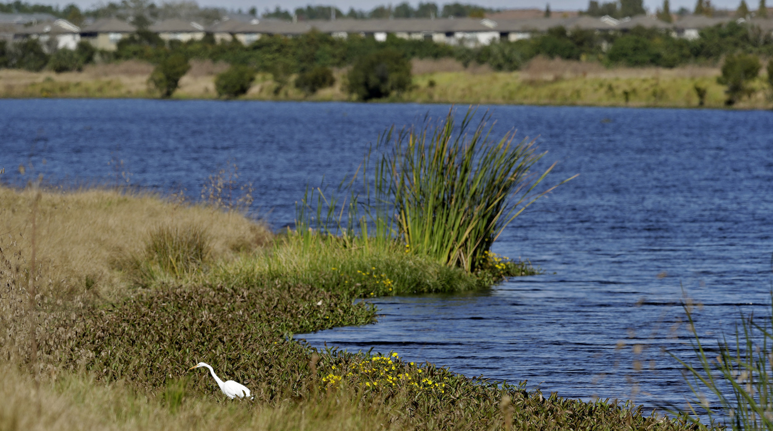 Ep. 53: What's at Stake Under the New Trump Water Rule?