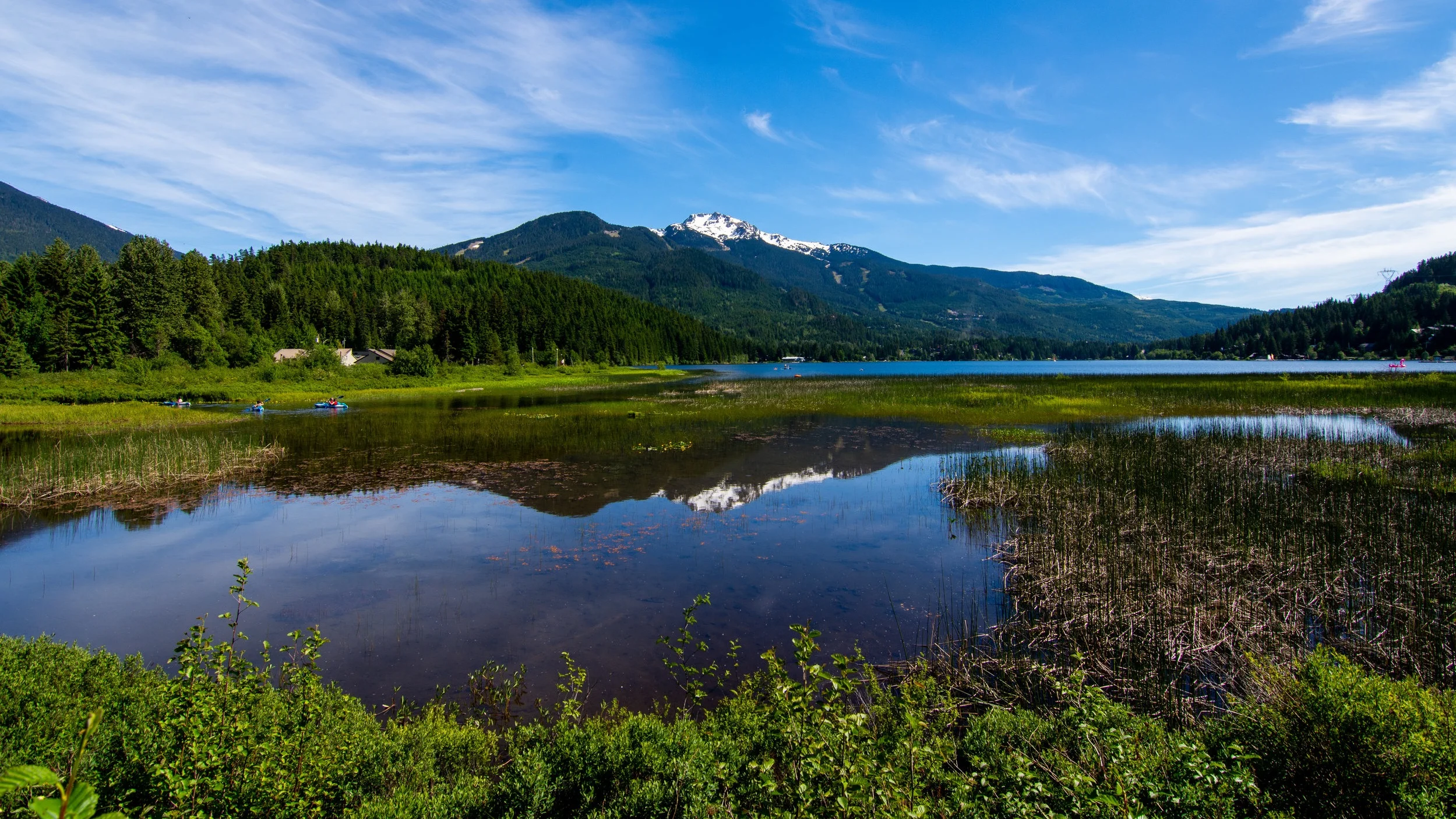 _DSC5572.jpg