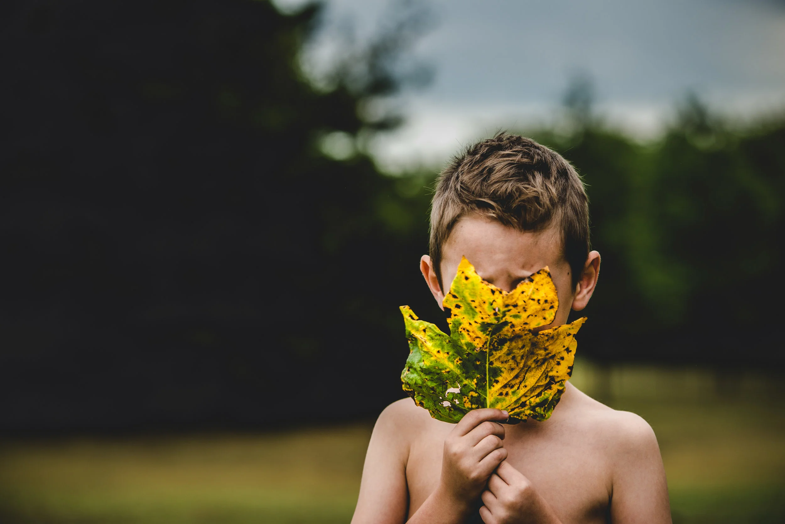 shootandshare-110.jpg