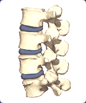 subluxation-normal.gif
