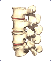 subluxation-phase-2.gif