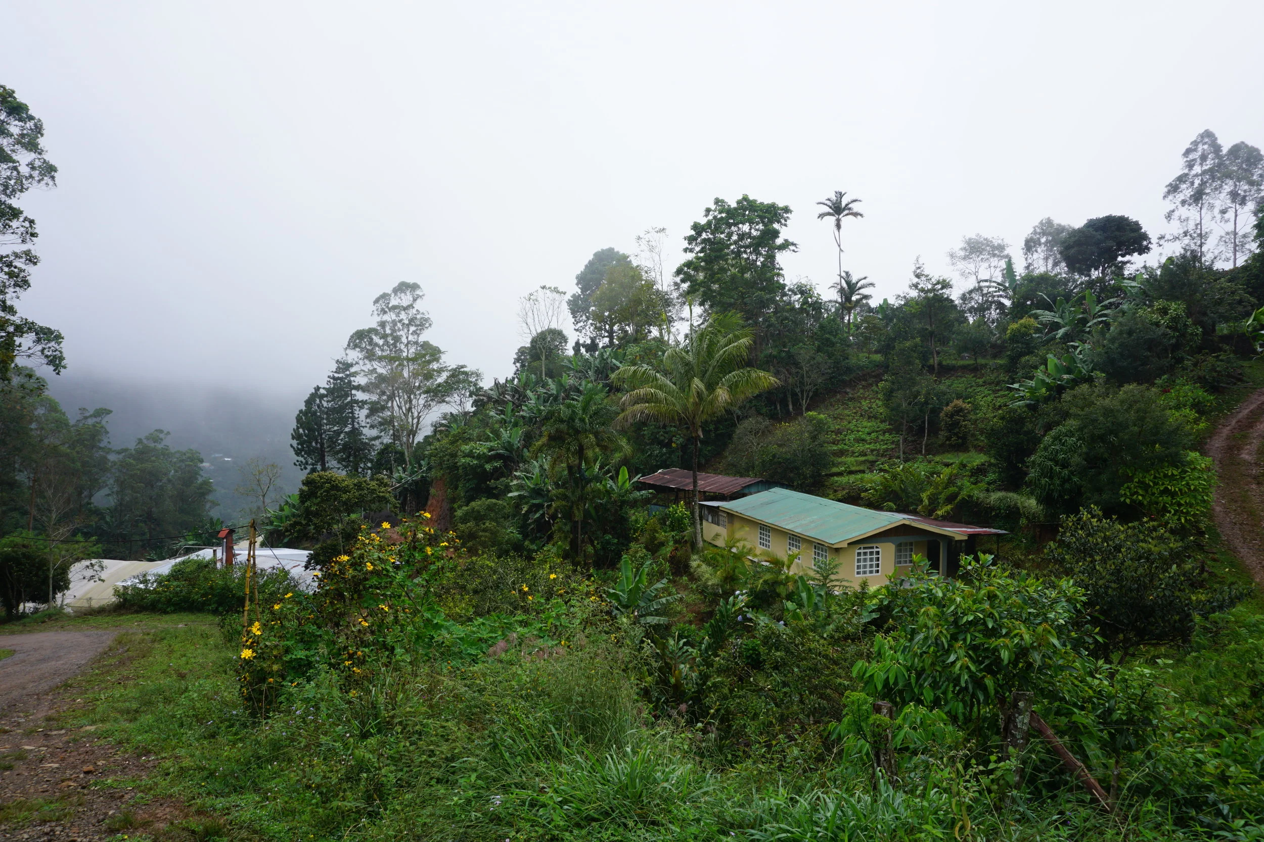 DSC02580.JPG
