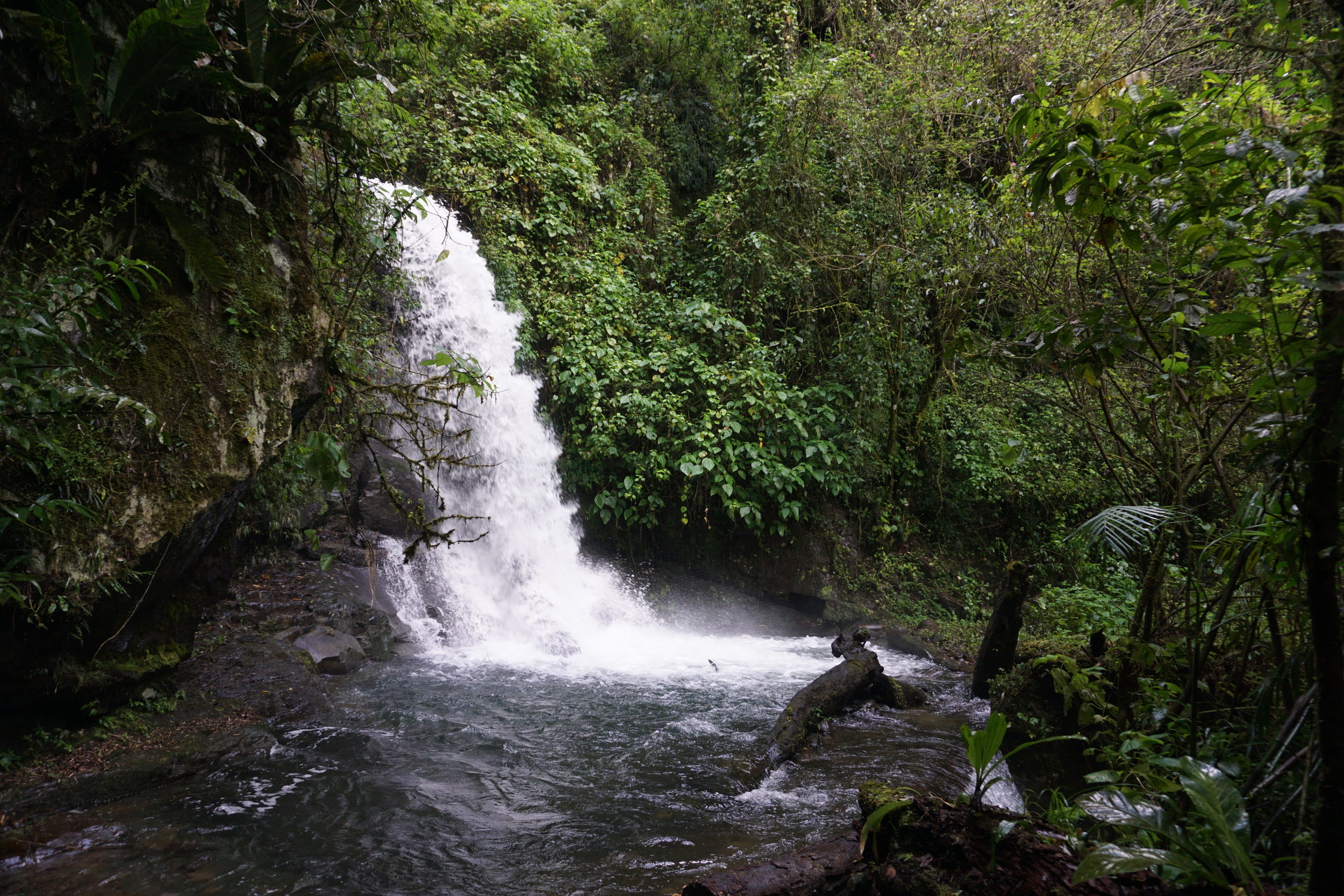 DSC02600.JPG