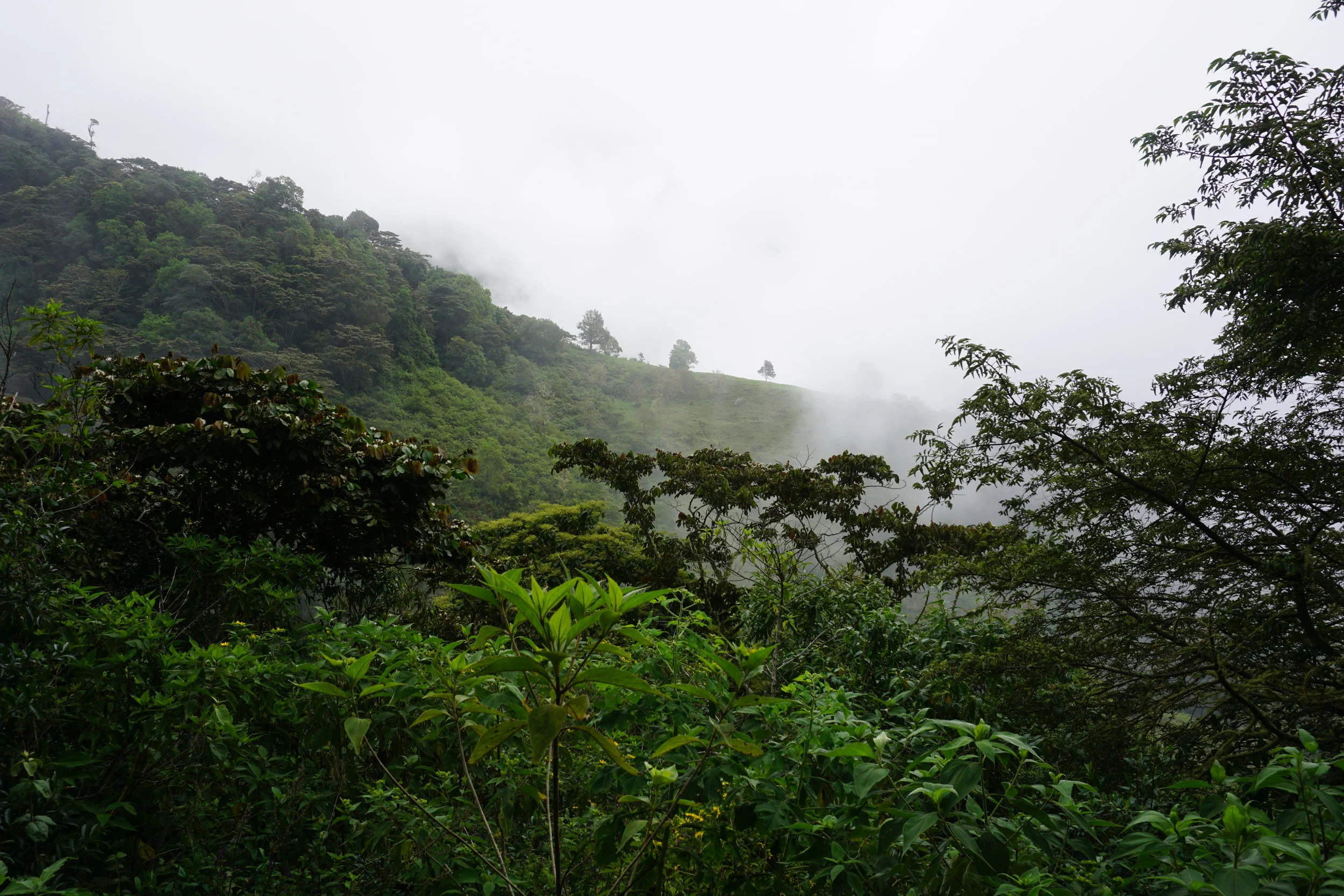DSC02611.JPG