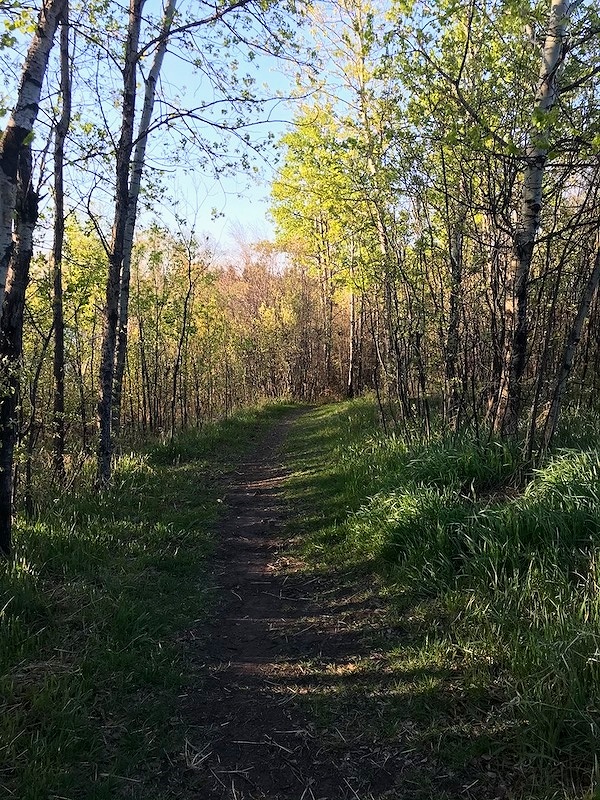 trail-running