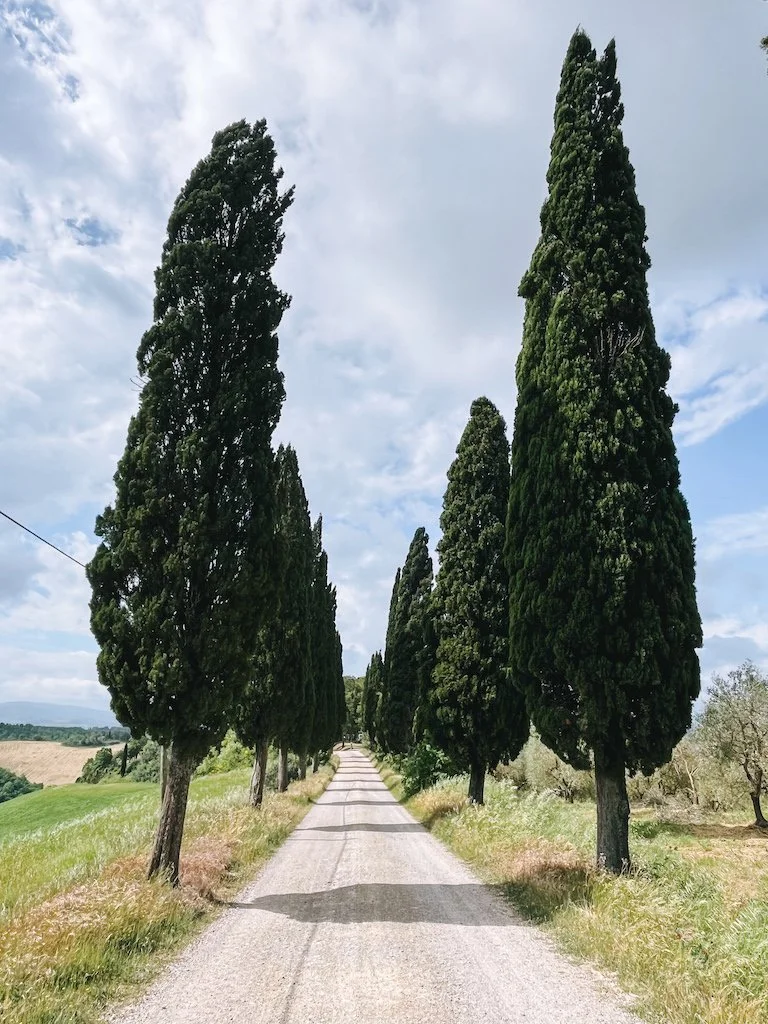 tuscany gravel