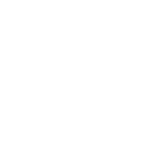 s1 (1).png