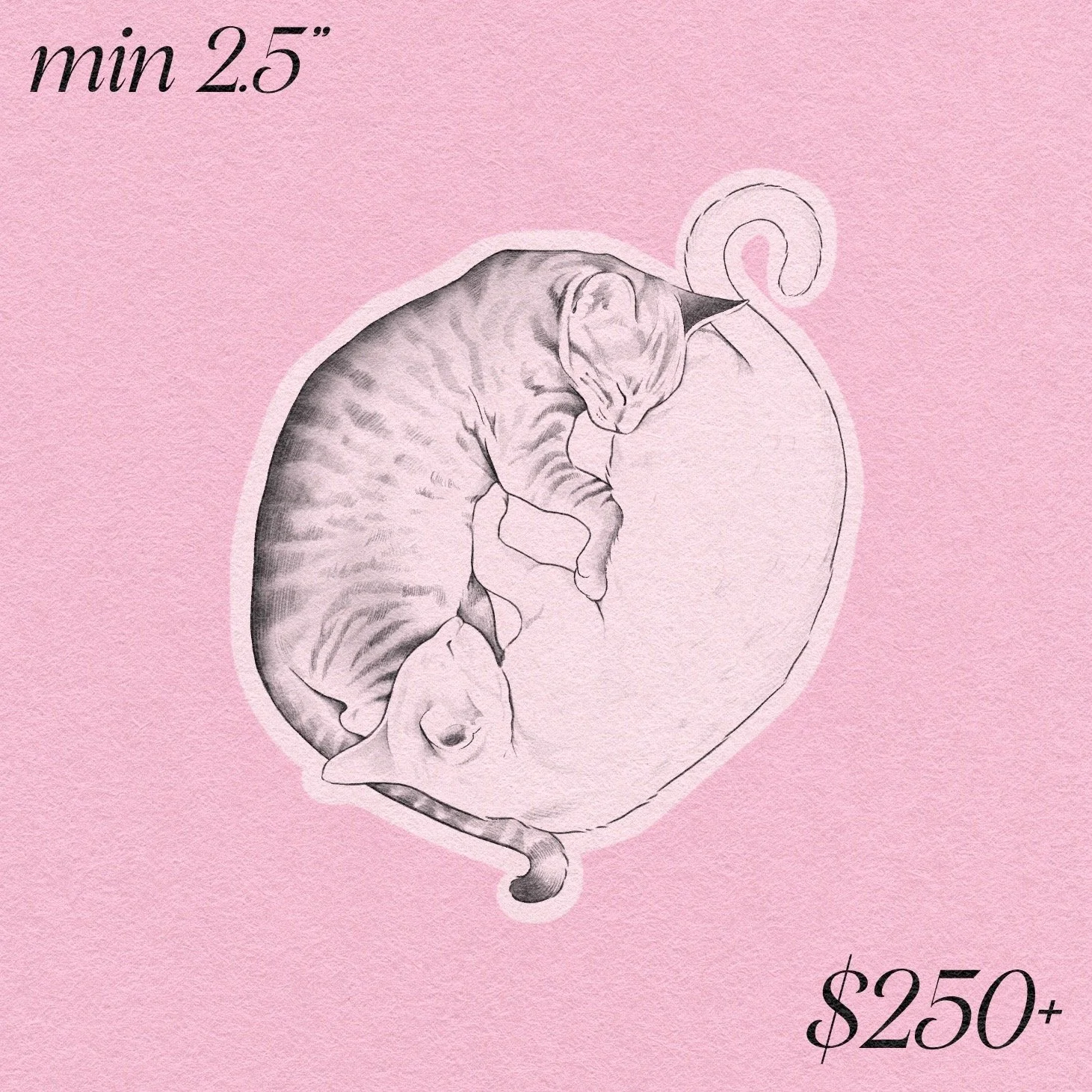 Valentine // Cuddle