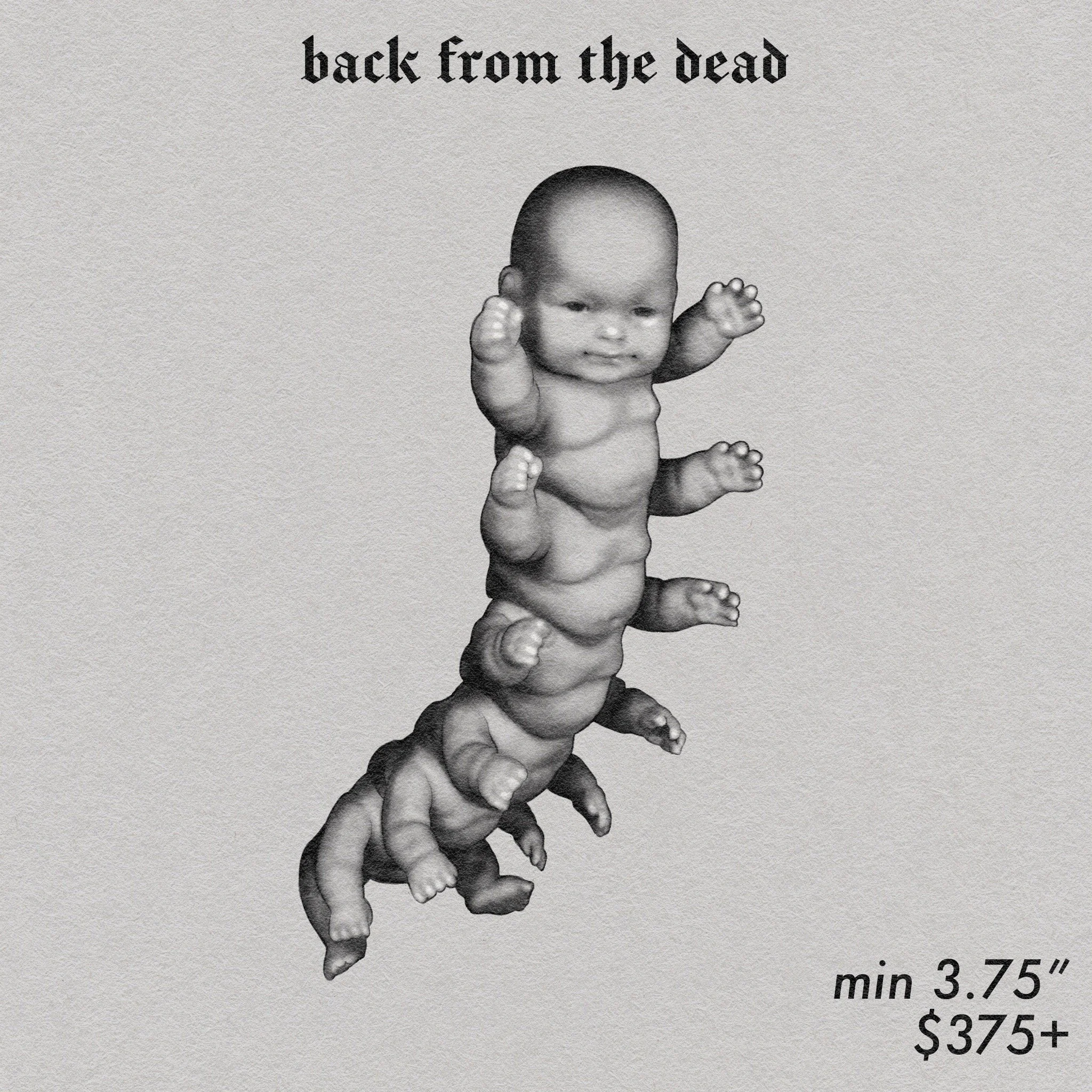 BabyCentipede.JPG