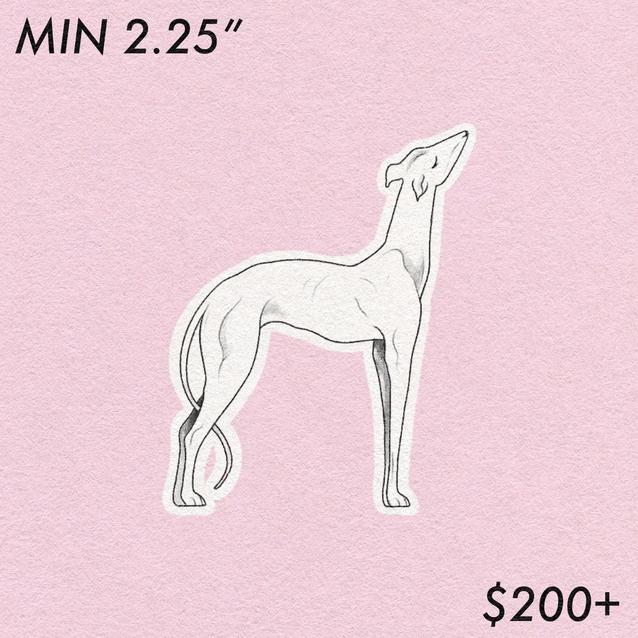 Art History // Greyhound