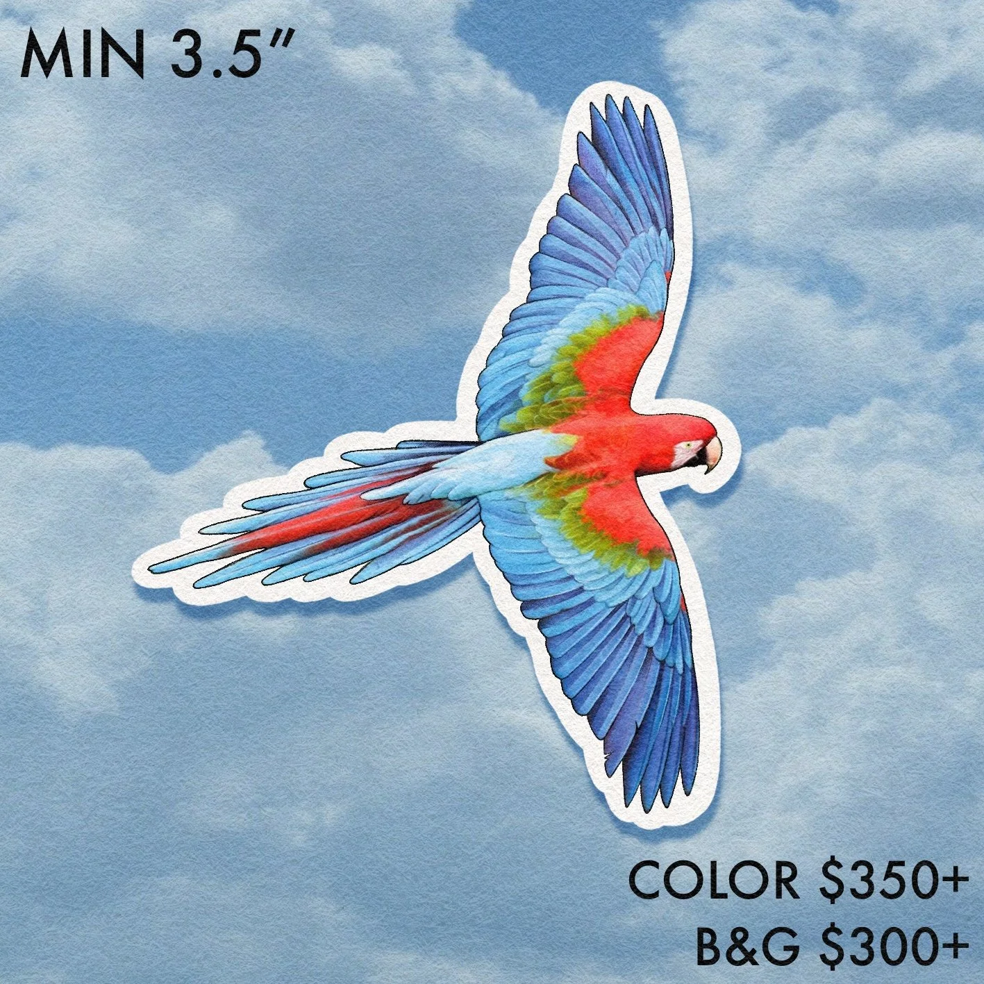 Birdwatcher // Parrot