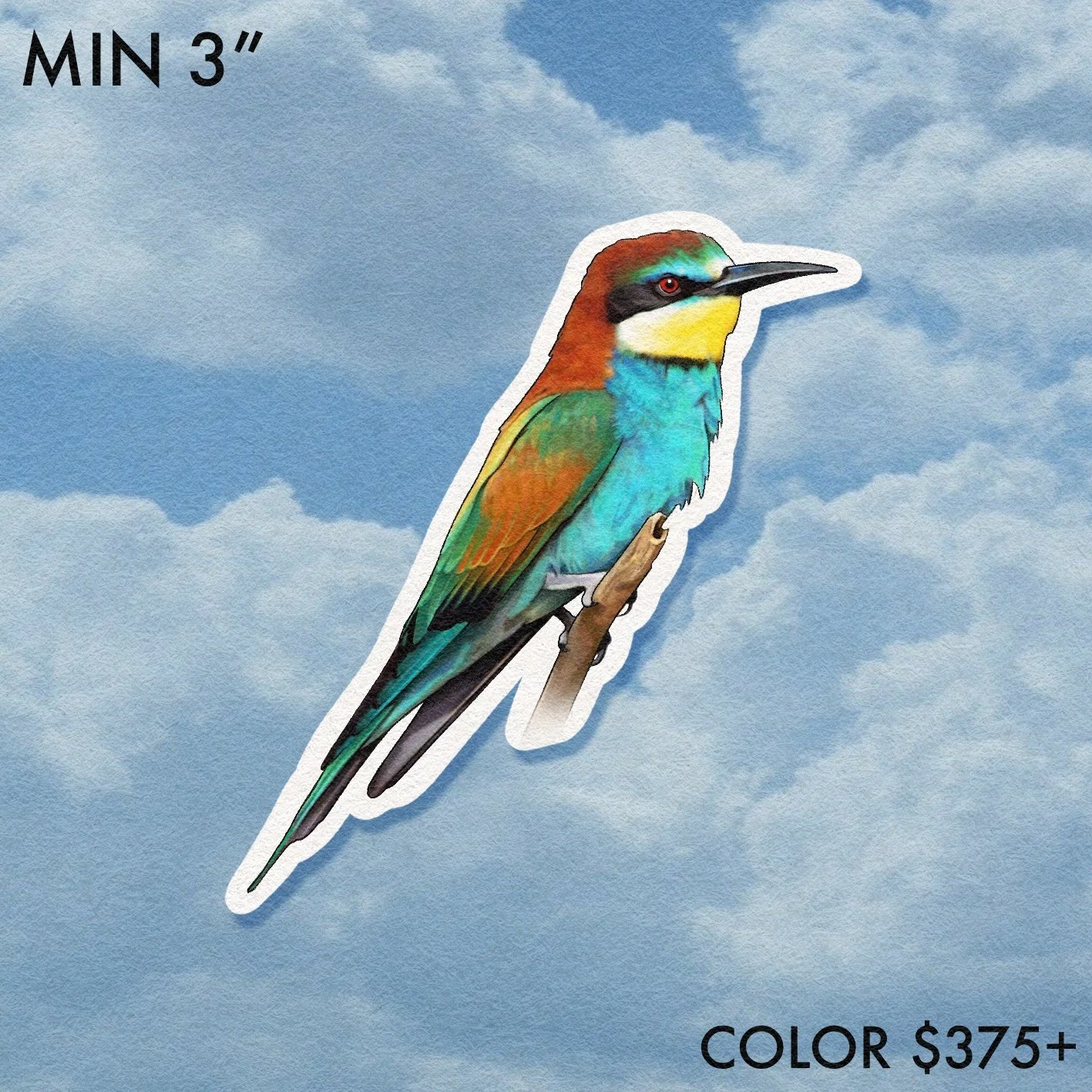 Birdwatcher // Bee Eater