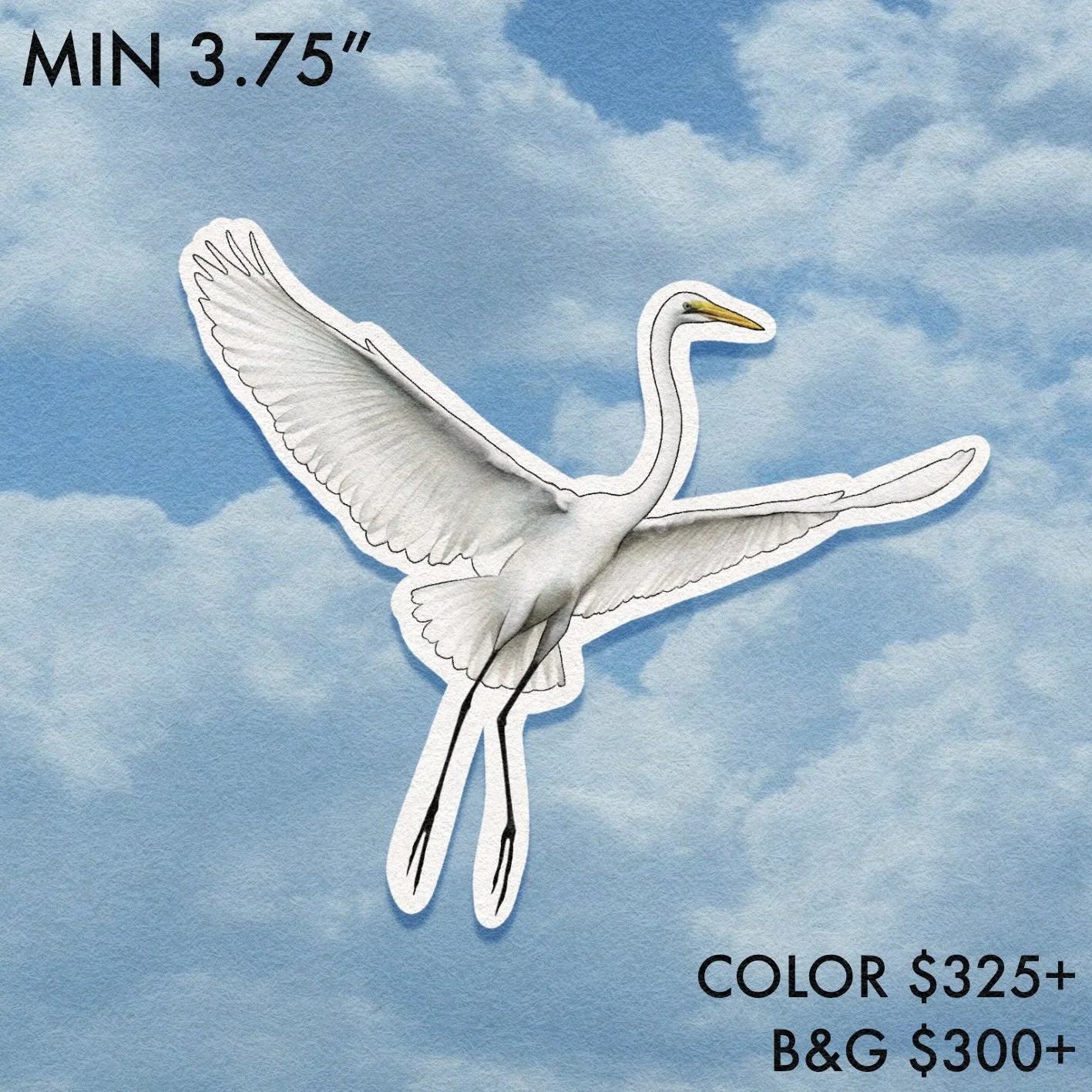 Birdwatcher // Crane