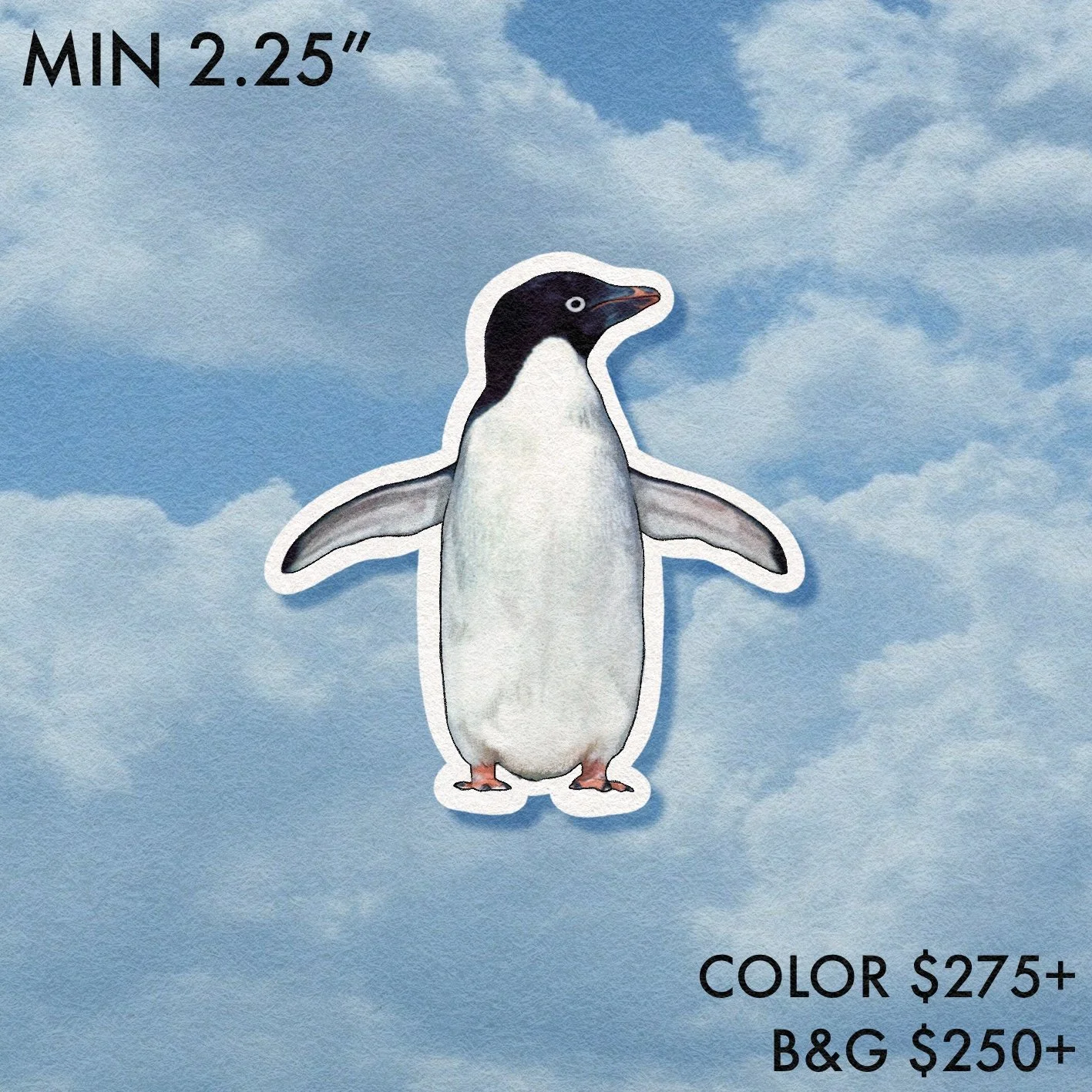 Birdwatcher // Penguin