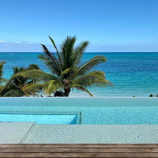 infinite sea, or infinite jungle?

how about both? 🤗