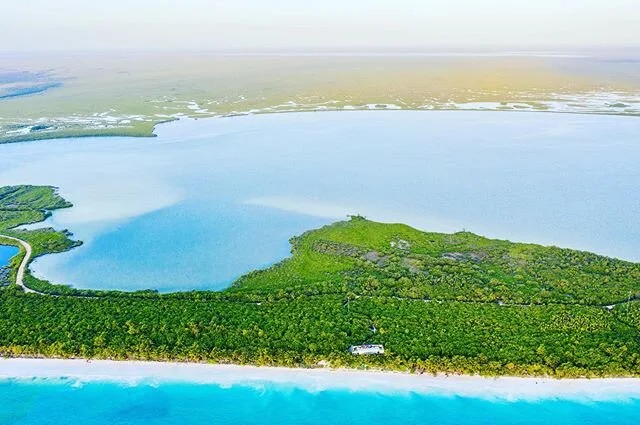 &ldquo;𝒲𝒾𝓉𝒽 𝑒𝓋𝑒𝓇𝓎 𝒹𝓇𝑜𝓅 𝑜𝒻 𝓌𝒶𝓉𝑒𝓇 𝓎𝑜𝓊 𝒹𝓇𝒾𝓃𝓀, 𝑒𝓋𝑒𝓇𝓎 𝒷𝓇𝑒𝒶𝓉𝒽 𝓎𝑜𝓊 𝓉𝒶𝓀𝑒, 𝓎𝑜𝓊'𝓇𝑒 𝒸𝑜𝓃𝓃𝑒𝒸𝓉𝑒𝒹  𝓉𝑜 𝓉𝒽𝑒 𝓈𝑒𝒶. 𝒩𝑜 𝓂𝒶𝓉𝓉𝑒𝓇 𝓌𝒽𝑒𝓇𝑒 𝑜𝓃 𝐸𝒶𝓇𝓉𝒽 𝓎𝑜𝓊 𝓁𝒾𝓋𝑒.&rdquo; ―Sylvia Earle, Oc