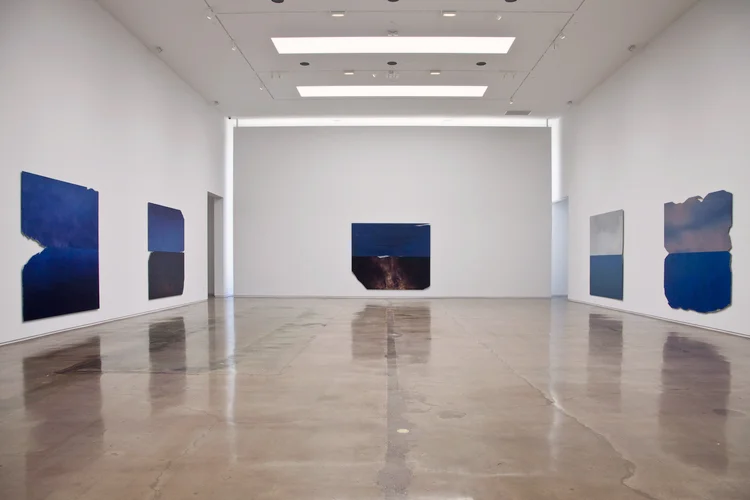 Flat Screen Nature, at Kohn Gallery July 12 - August 29, 2014