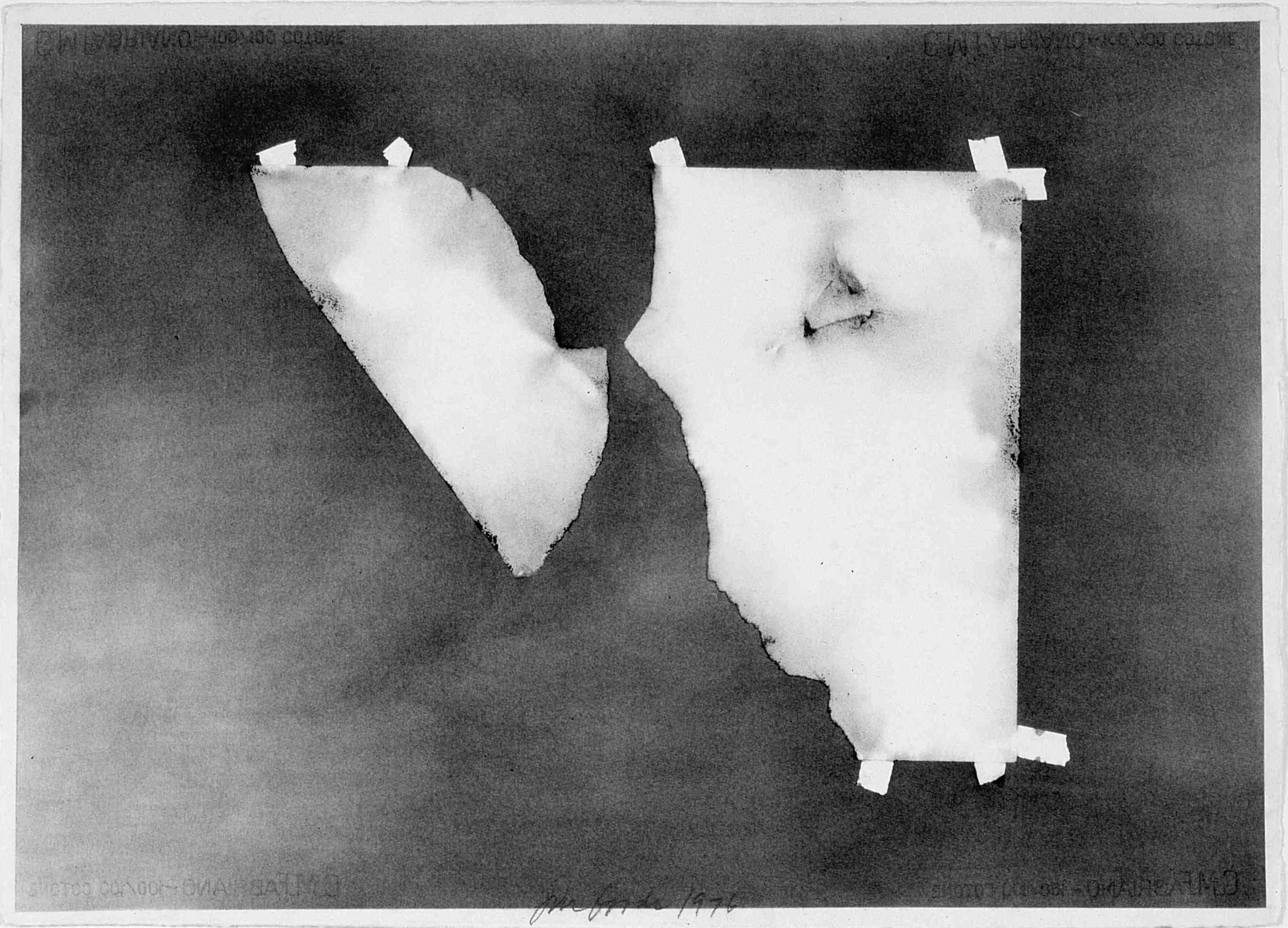  X-ray Drawing 10 , 1976, powder charcoal on paper, 22" x 30"