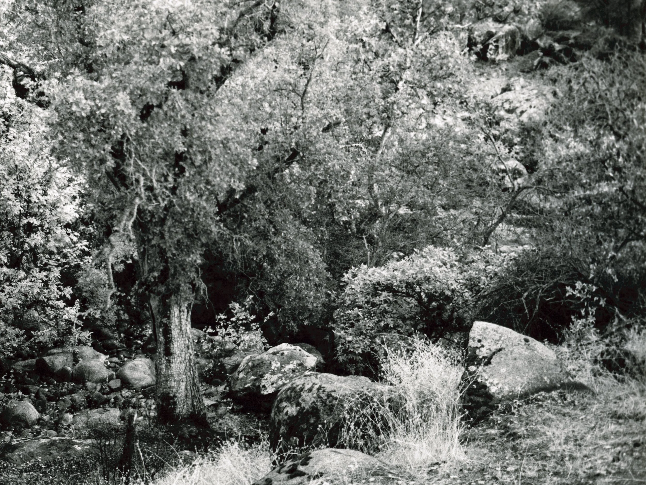 JTmm 07, 2012, 64 x 48.jpg