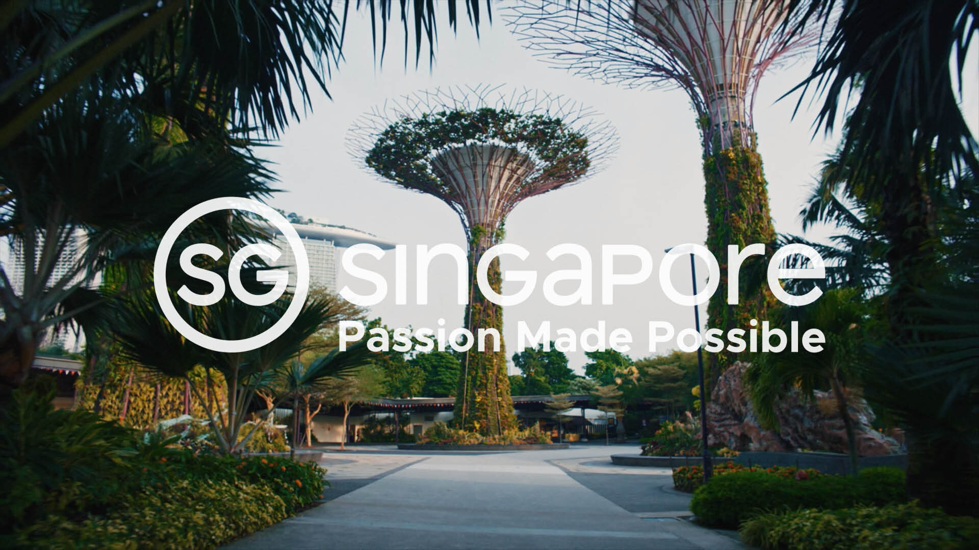 In Search of Singapore