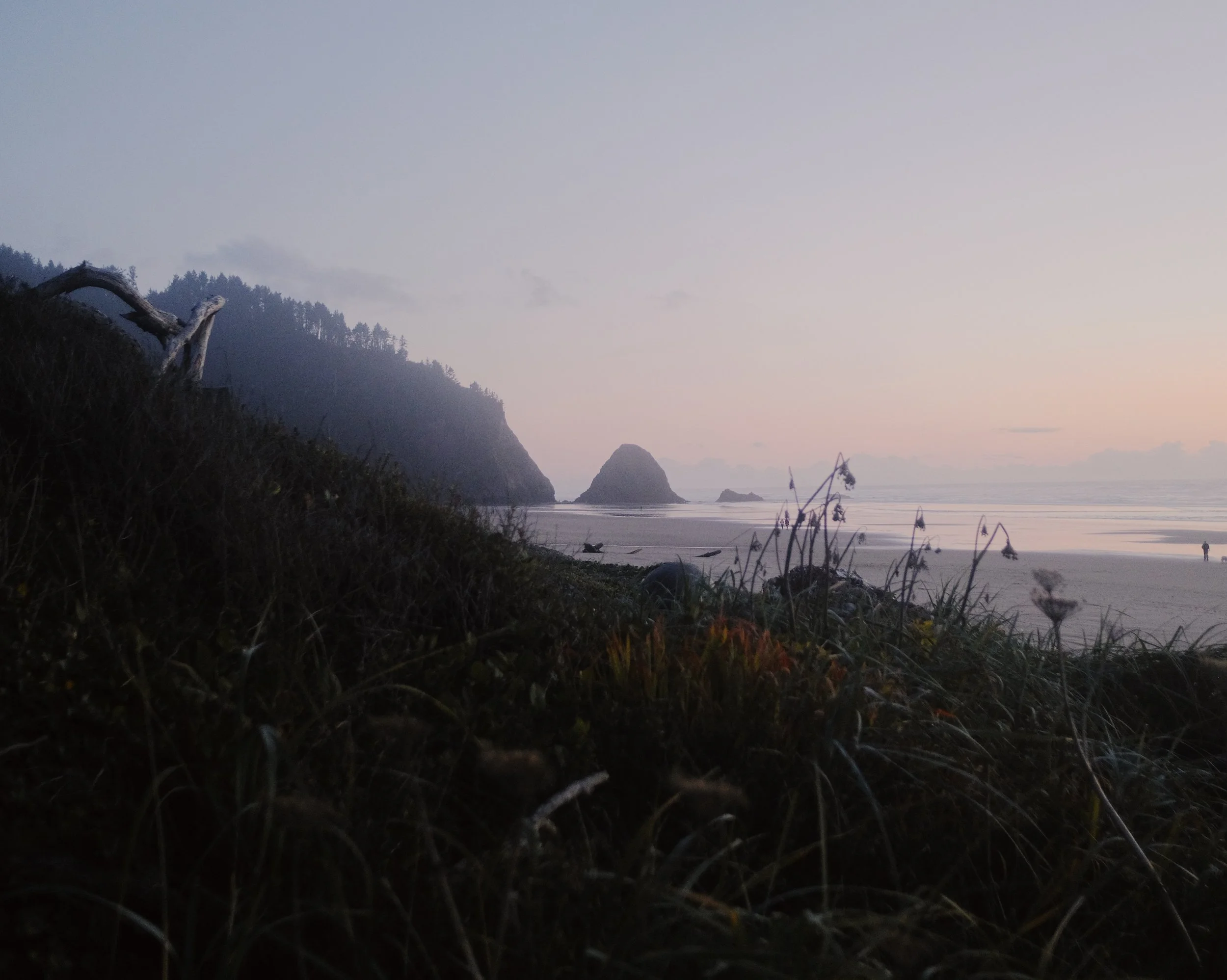 DSCF5647.jpg