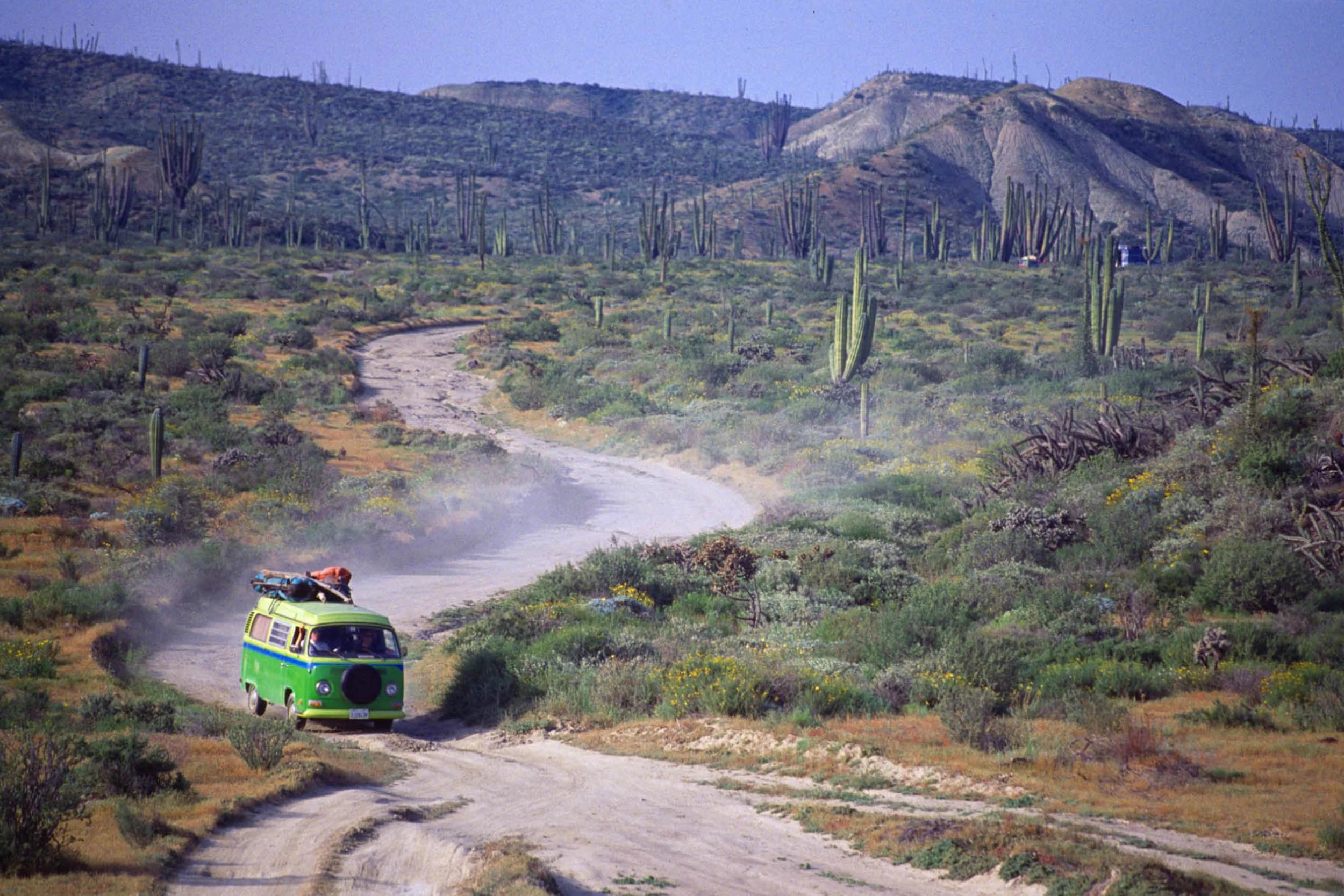 Screen Shot 2017-01-26 at 10.05.18 AM.jpg