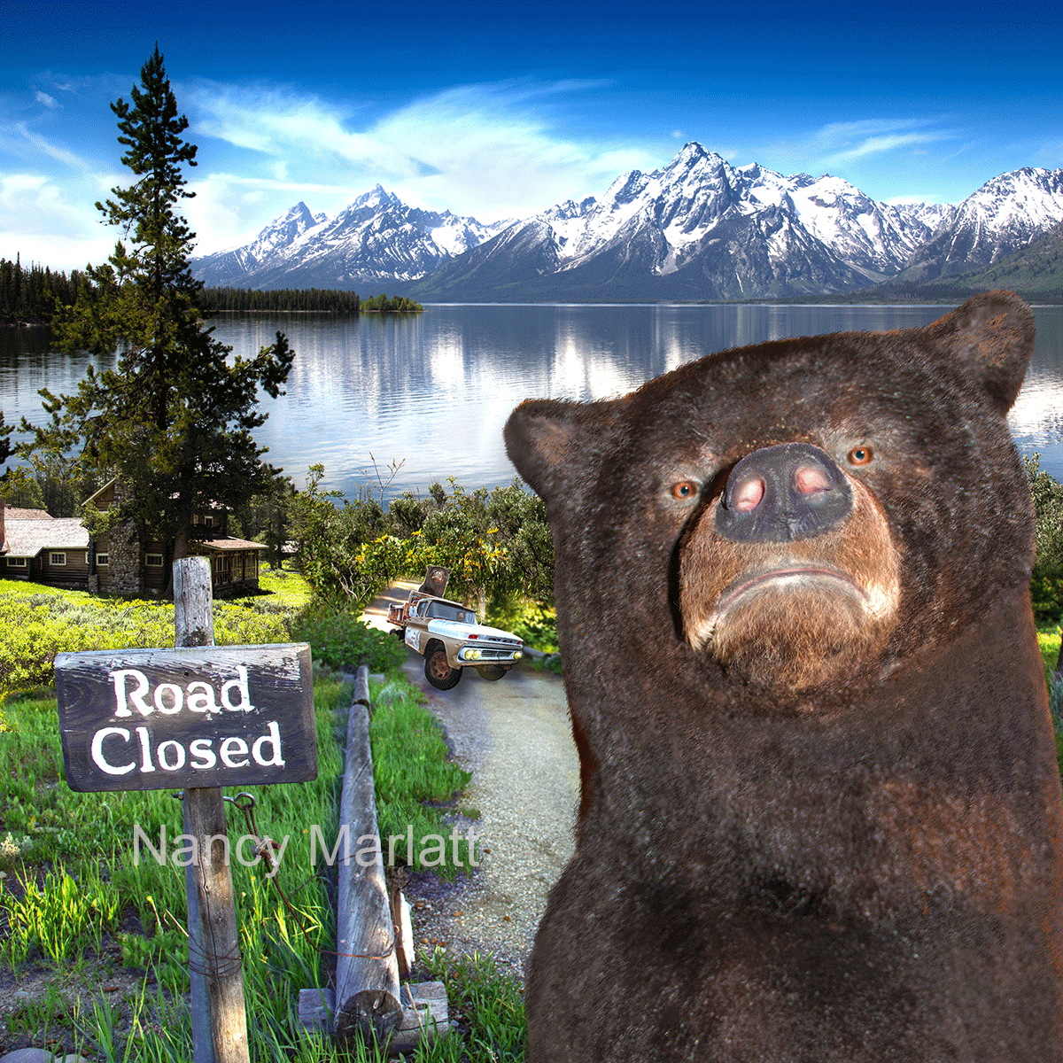 Stuart the Bear