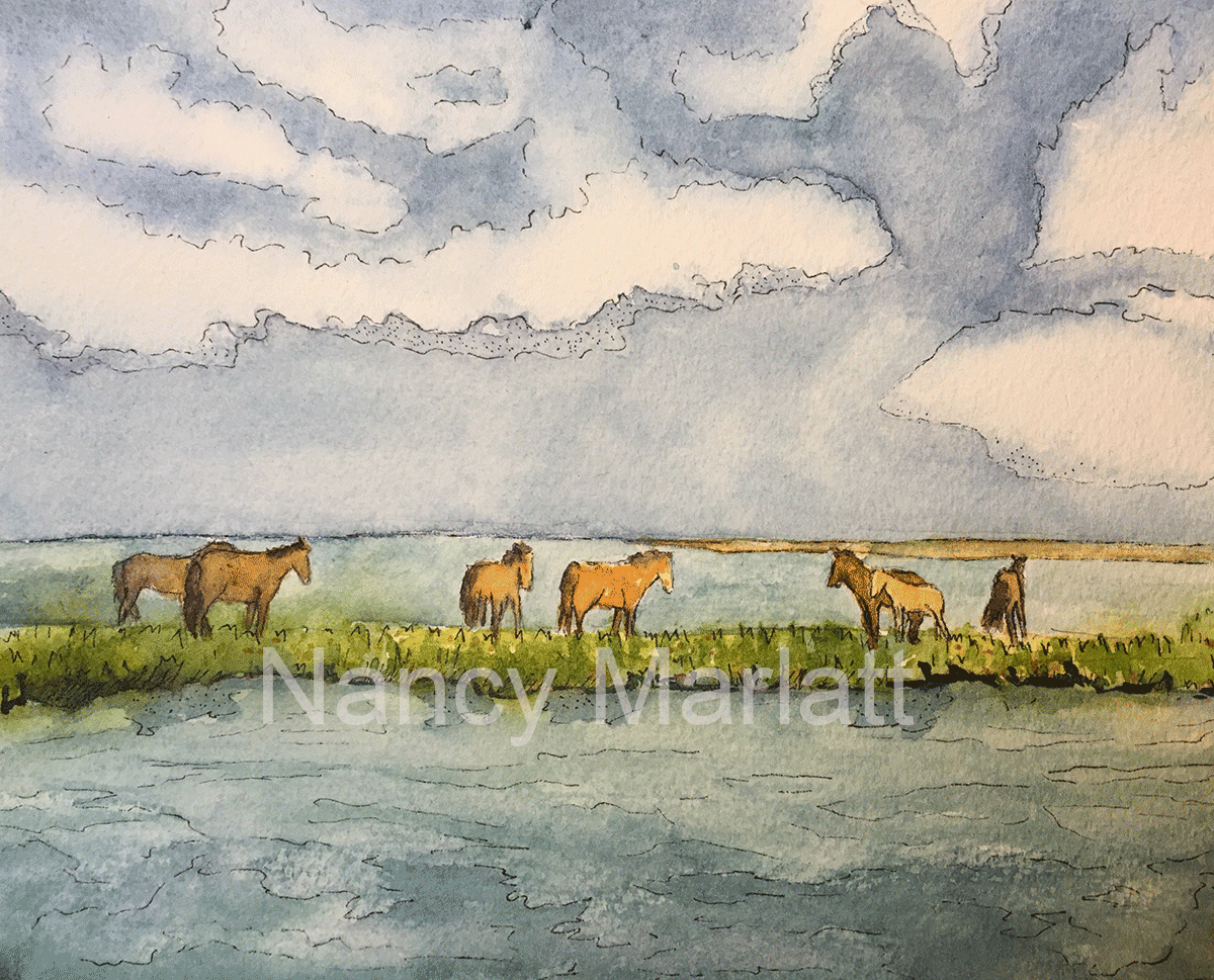 Wild Ponies