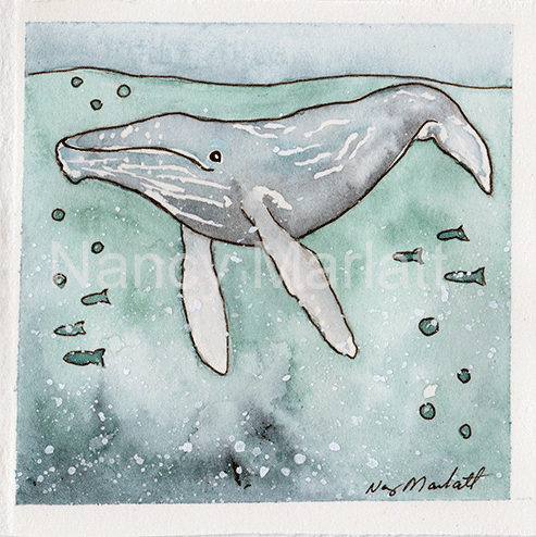 Humpback Whale
